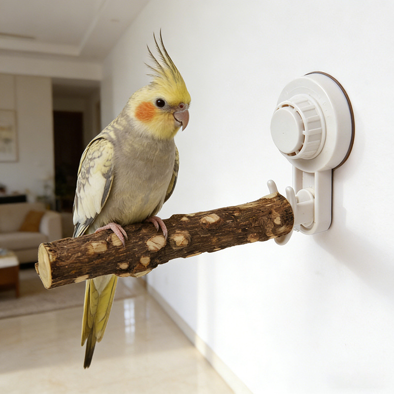 Parrot Stand with Suction Cup  - Woodworking Joints ulasan dan harga