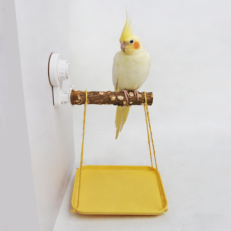 Parrot Stand with Suction Cup  - Woodworking Joints ulasan dan harga